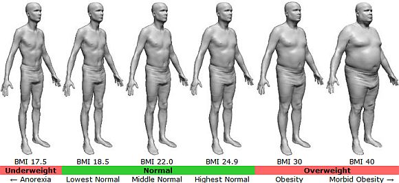 24 bmi BMI &