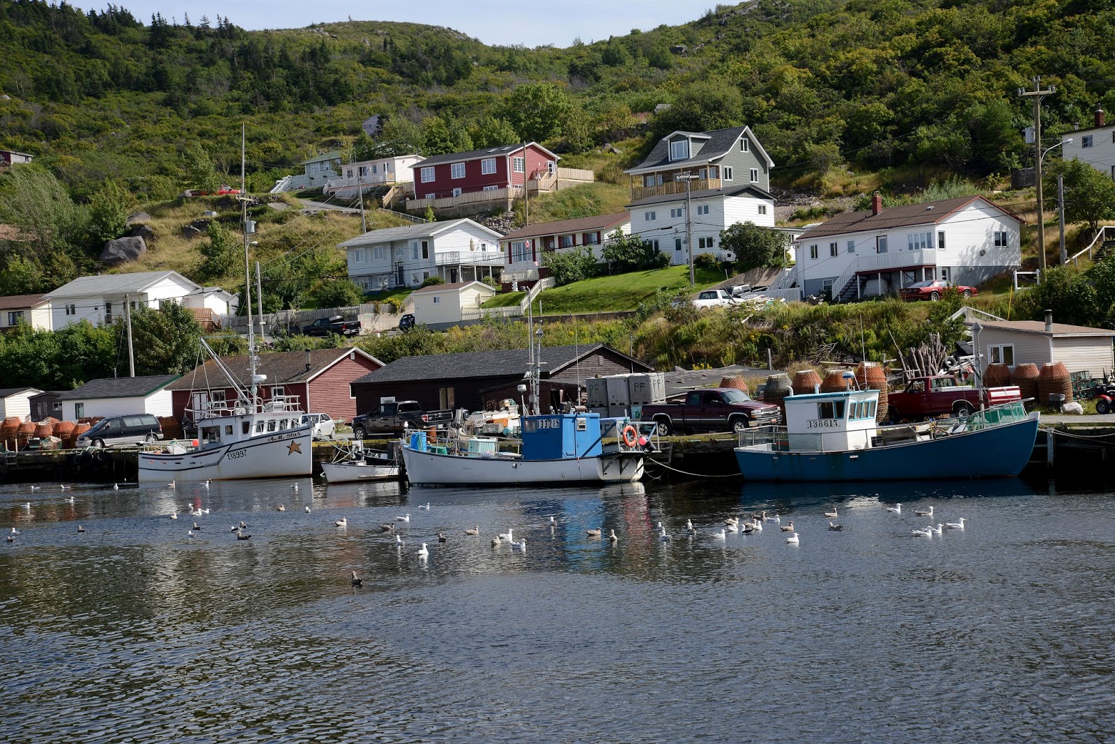 Doug's RV Travels Aug 24 27 Brigus, Cape Spear, Petty Harbour