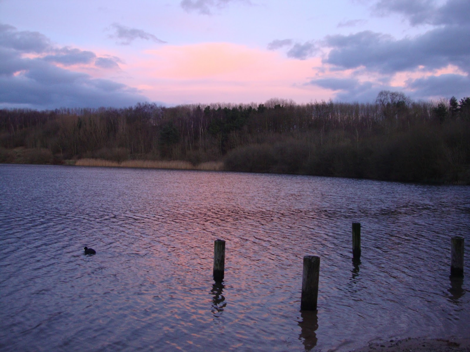 Podheim Astbury Mere