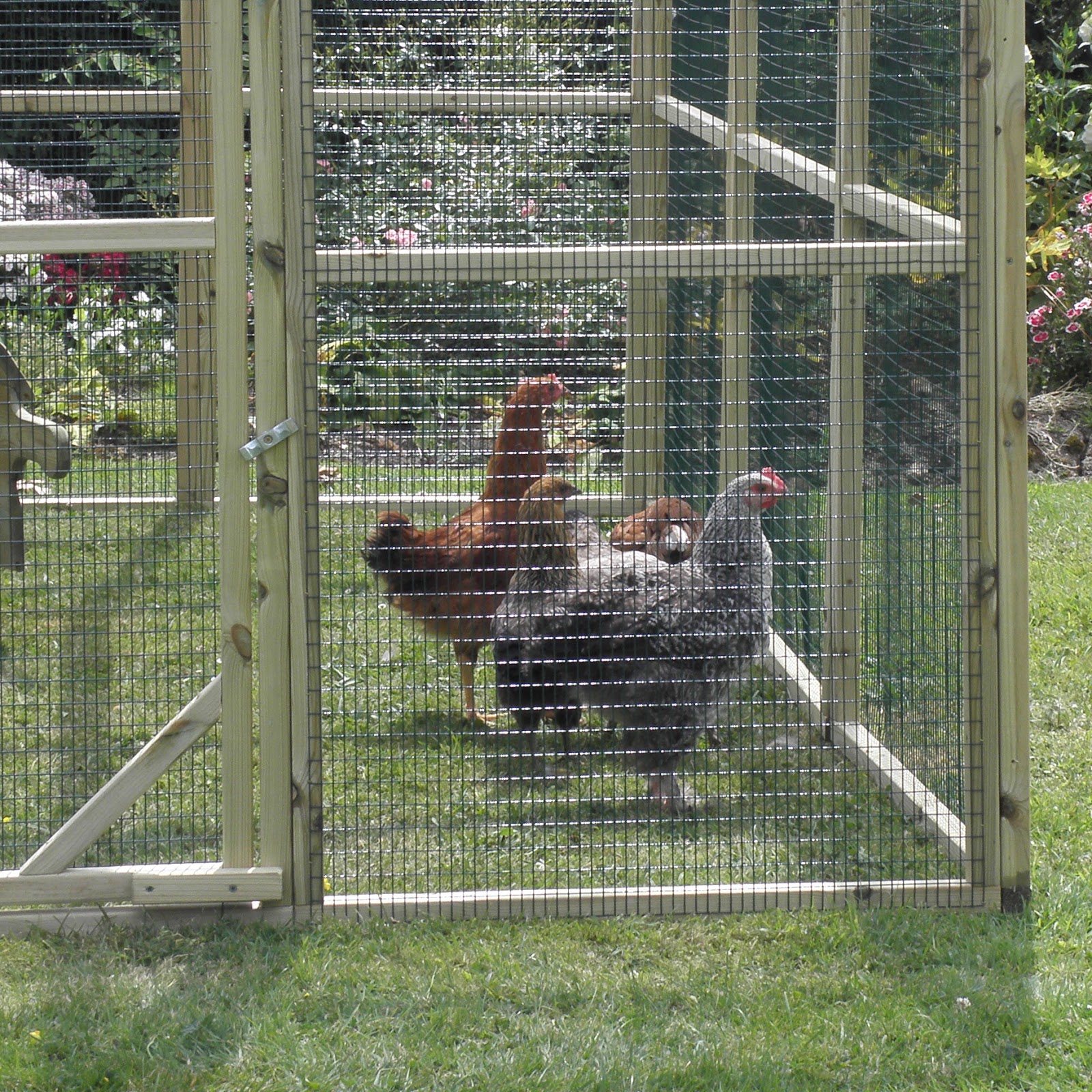 Flyte So Fancy 5 Great Features of the Flyte so Fancy Protection Pens