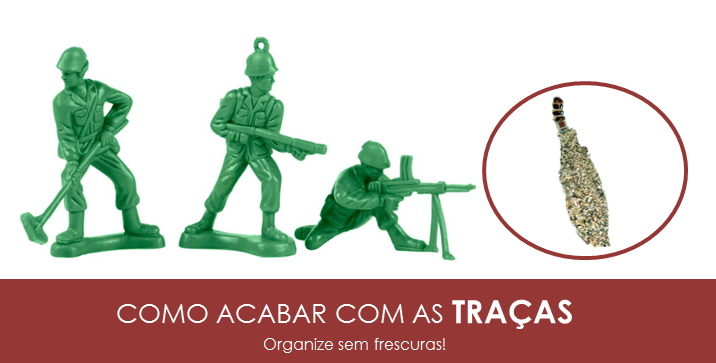 Virtudes Femininas: Como evitar e acabar com as traças