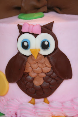  Birthday Cakes on And Everything Sweet  Girly Owl Birthday Cake