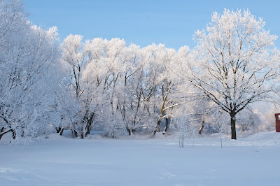 Beautiful Winter Images Collection