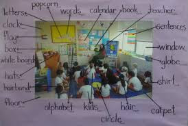 Picture word inductive model lesson plan image