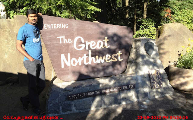 The Great Northwest