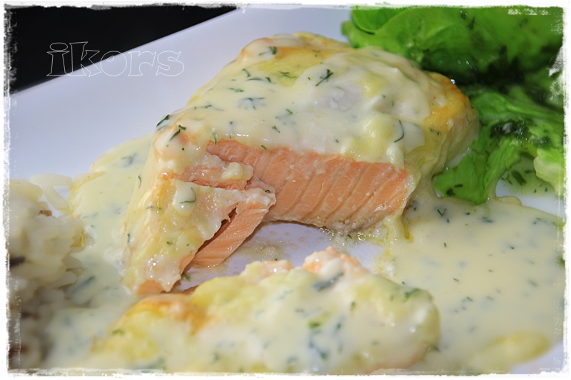 Kochen Meine Leidenschaft Lachs Sahne Gratin