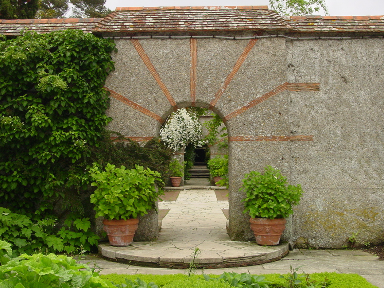 Hydrangea Robusta Care And Culture Travaldo S Blog