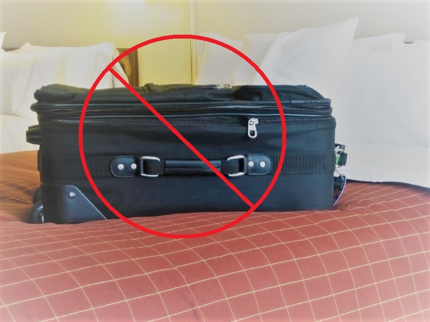 Vacation Bed Bug Prevention Tips