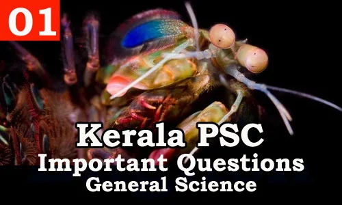 Kerala PSC - Important and Repeated General Science Questions - 01