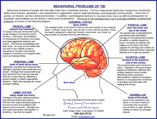 Spanish Teen Brain Behavior Problem 117