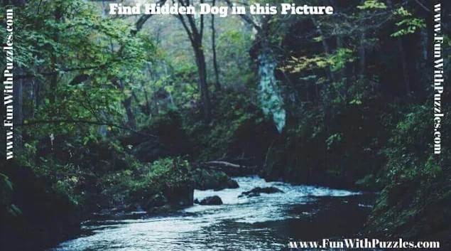 Explore Diverse Picture Puzzles: Find the Hidden Dog