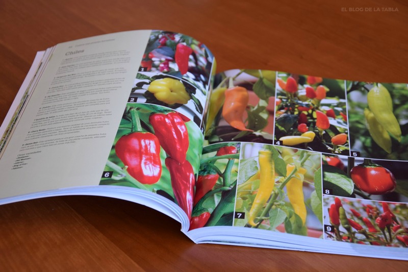 Libro. Cultivar alimentos en espacios reducidos, RHS. Lucy Halsall