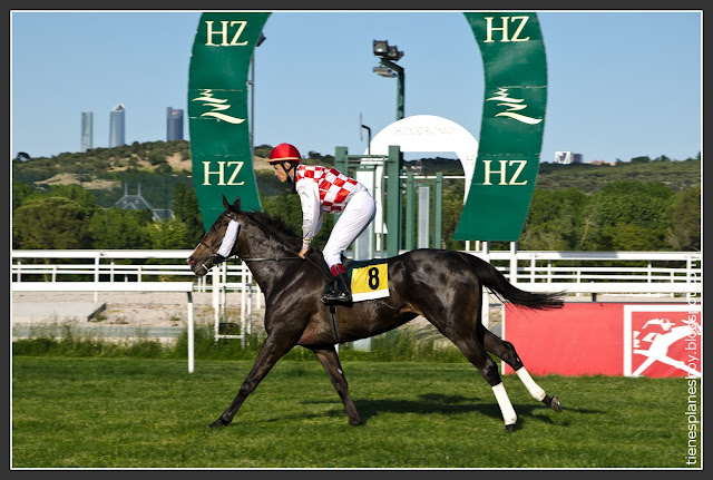 Hipódromo de la Zarzuela (Madrid)