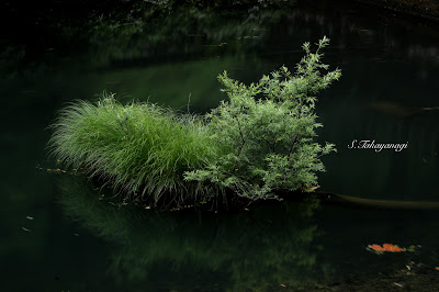 群馬県　湖沼　日本の風景