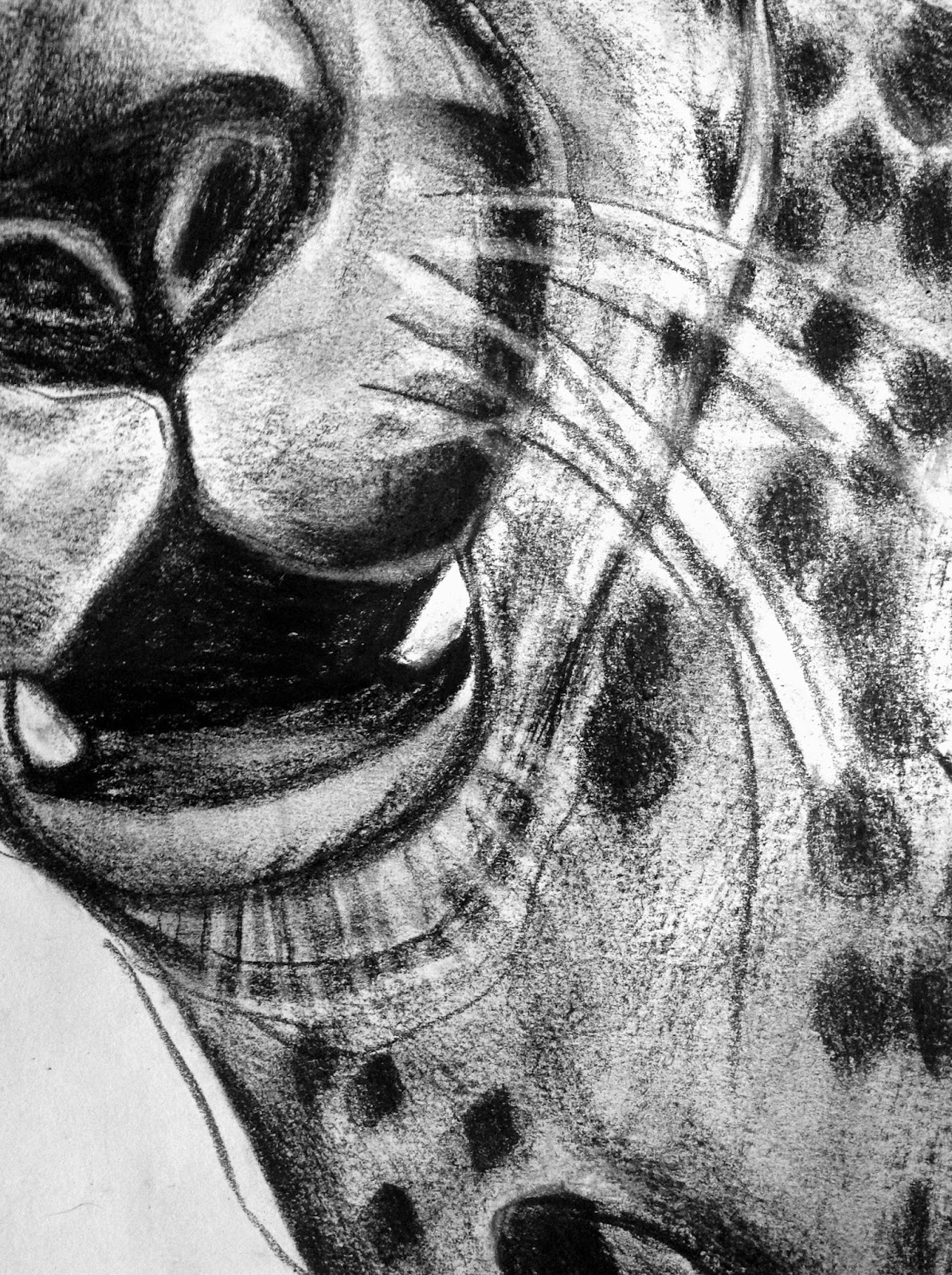 One Point Perspective Charcoal Distorted Animals Hello, thanks for visiting my page. one point perspective charcoal