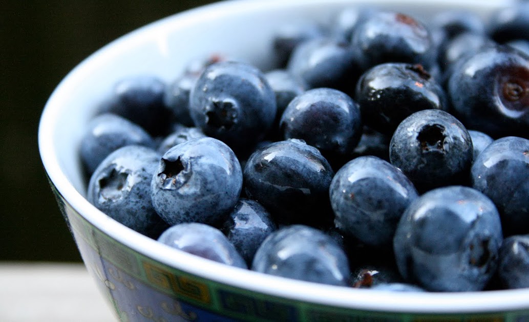 Blueberry emagrece e protege a saúde Blog da Loja Ohashi