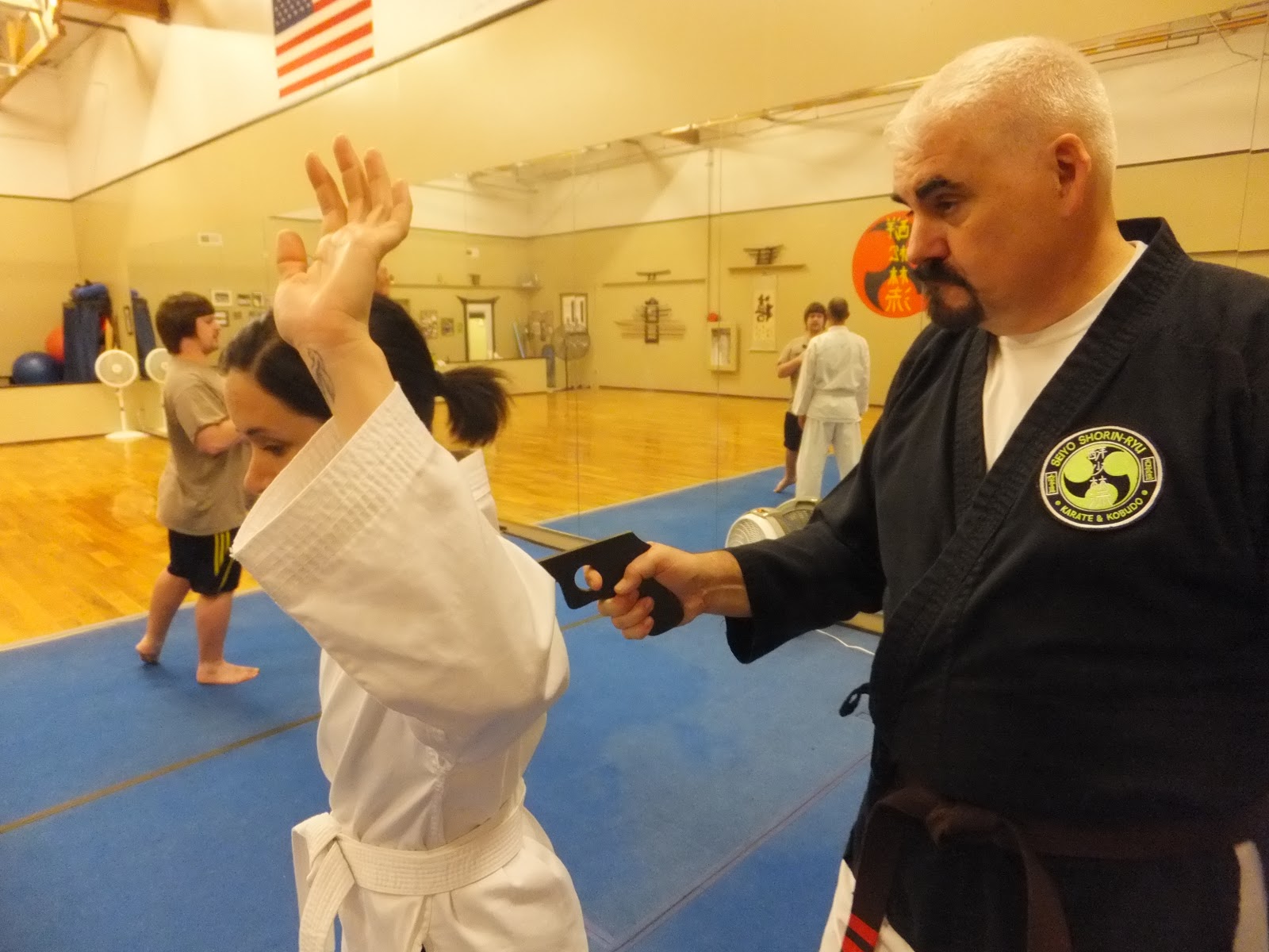 Soke Hausel's Guide to SelfDefense Classes in Arizona Arizona Martial