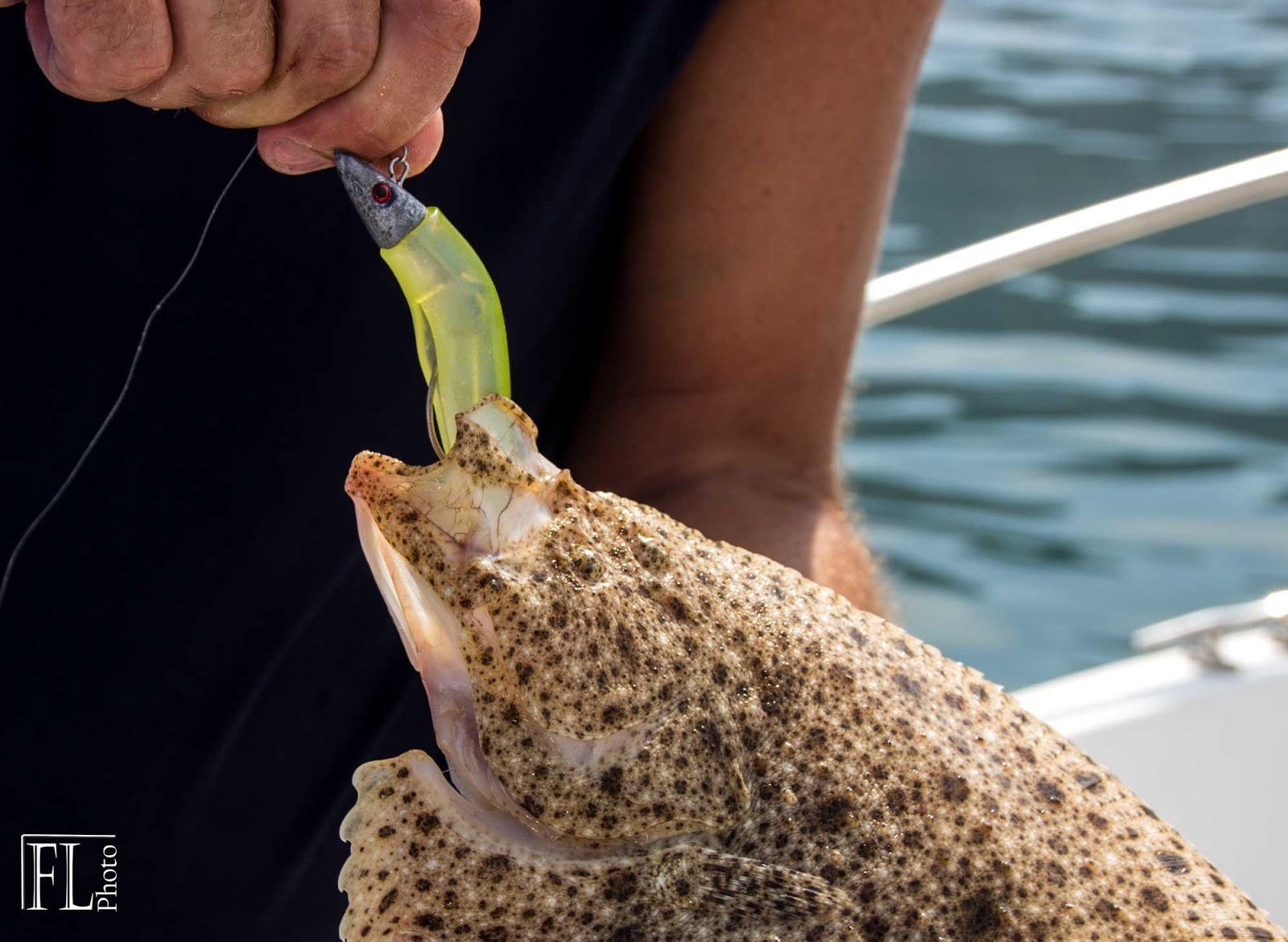 Pêche au Turbot en Normandie