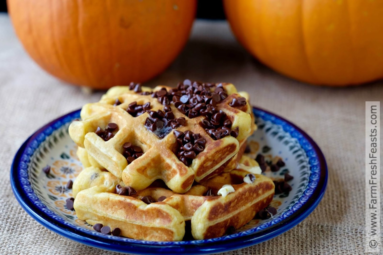 Farm Fresh Feasts S'moresfilled Peanut Butter Oatmeal Blondies