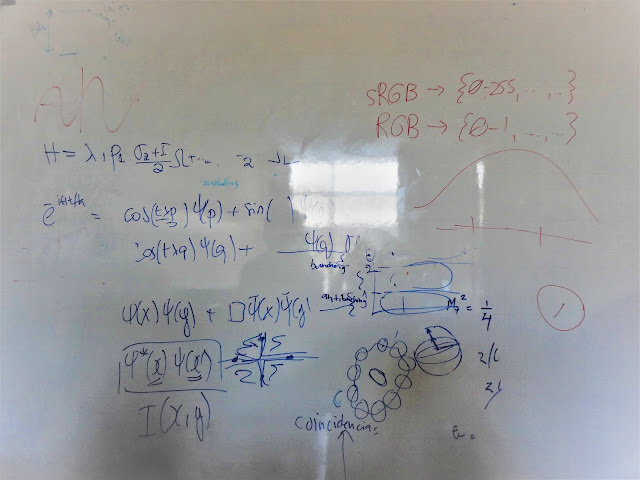 コロンビア国立大学の学生の将来について