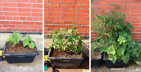 Великолепные идеи для детей на дачном участке.