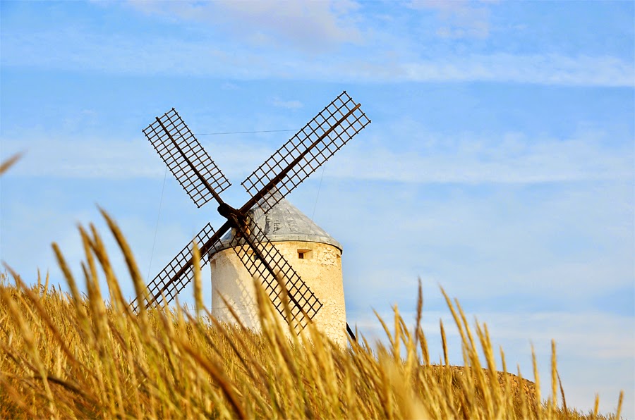 Enfoques en el camino: Molinos de viento de Consuegra