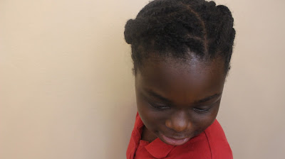 How to Moisturize Mini Twists without FRIZZ DiscoveringNatural