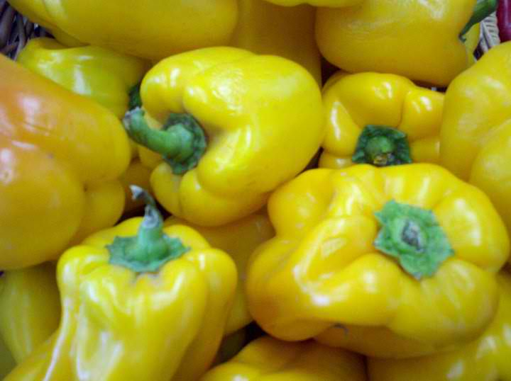 The Steaming Poop PICTURE THIS