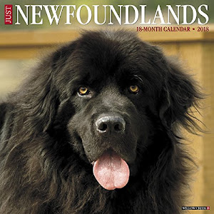 Just Newfoundlands 2018 Calendar