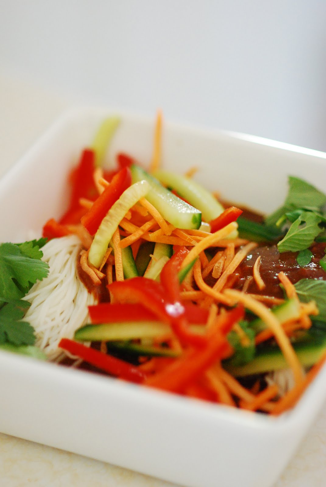 Such is This (and so on) In the way of the leftover rice noodles (and