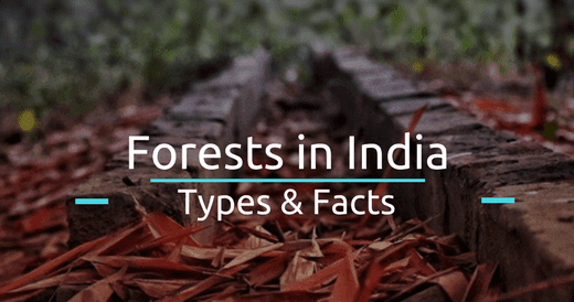 Forests in India- Types & Facts - BankExamsToday