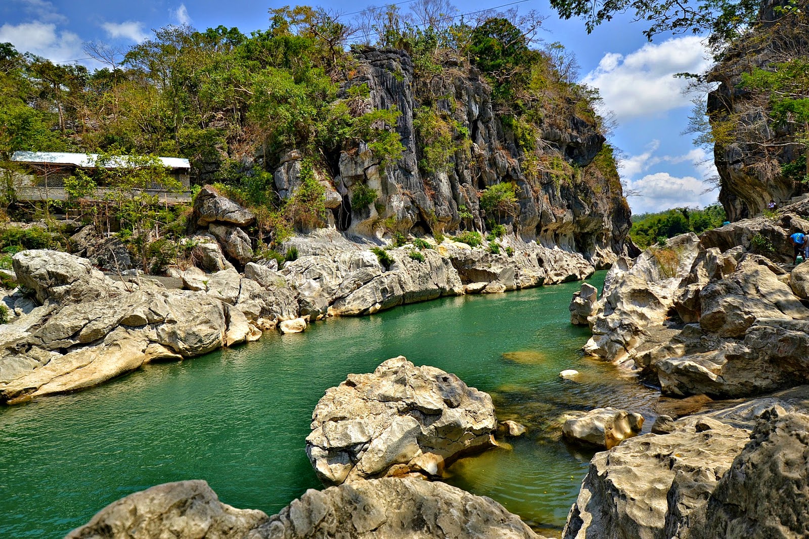 Minalungao National Park book III the latter I