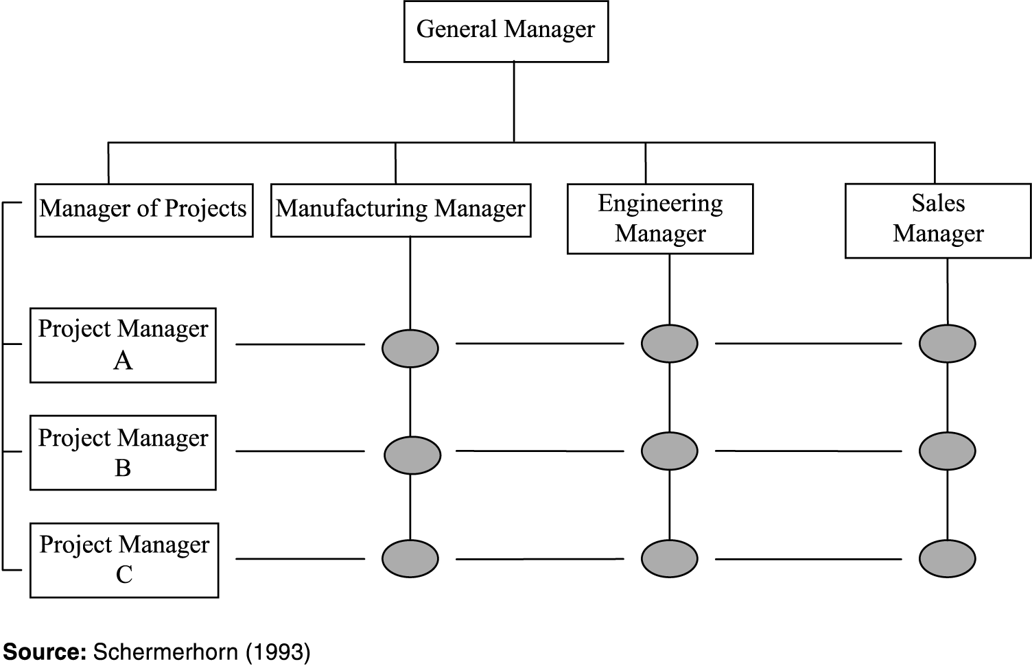 Схема матрикс. Matrix Organizational structure. Matrix Organizational structure of the Company. Matrix Management structure. Matrix Organization Type.