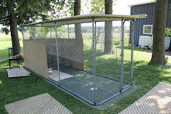 coop chicken homemade kennel sheep meat farm adventures country living bottom chickens raising engedi shalom simple
