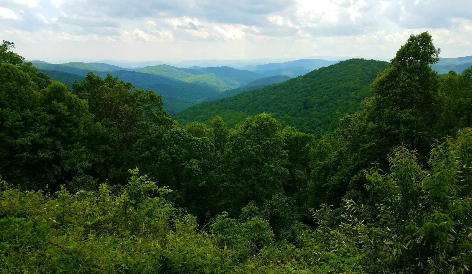 i searched my maps and books for a remedy pisgah national forest was waiting on me to hike a loop around coffee pot mountain from i searched my maps and books for a remedy pisgah national forest was waiting on me to hike a loop around coffee pot mountain from