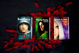 The Soulkeepers Series