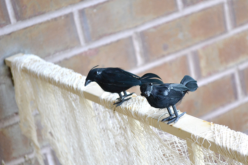 Aly Dosdall outdoor fall & halloween decor