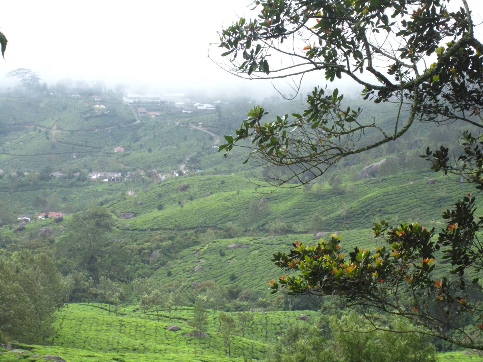 Essay about munnar image