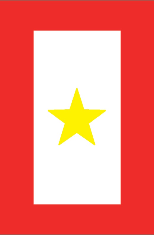 Sons In Service Support Shop History of Sons in Service Flags