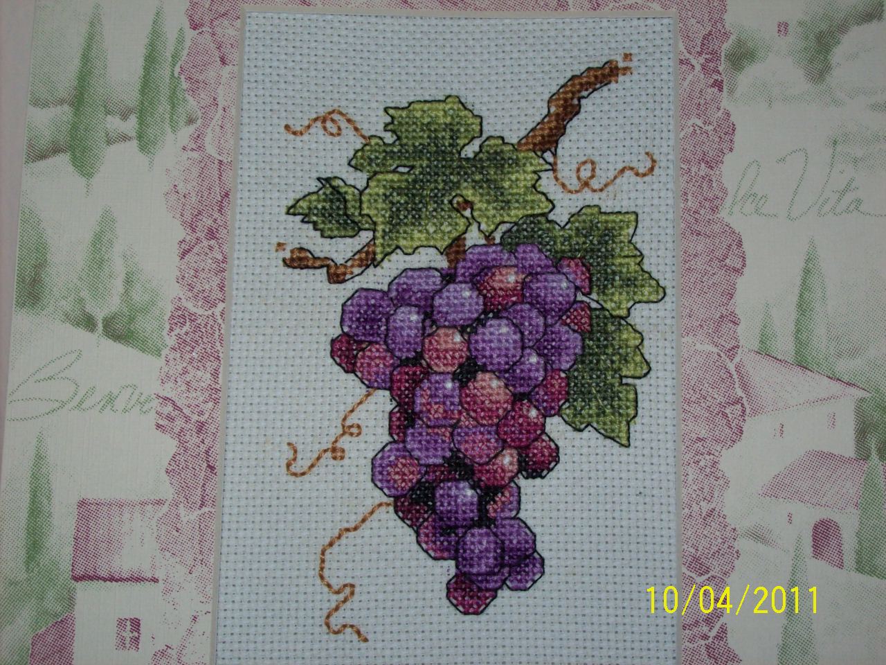 MARKIRHEN CROSS STITCH GRAPES ON VINE