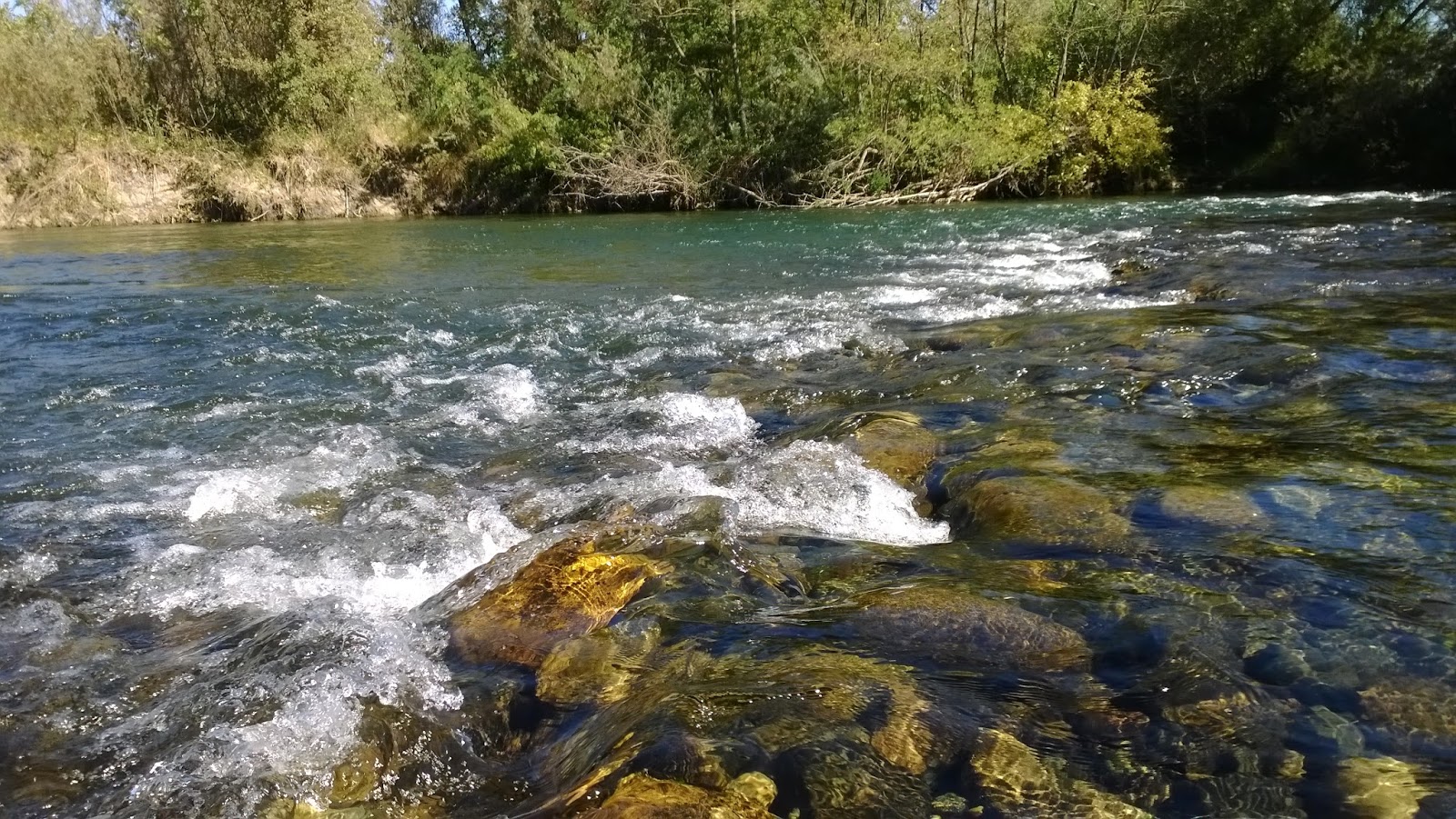 Keep Calm and Fly Fish CA DFG Fishing Regulations Feather River