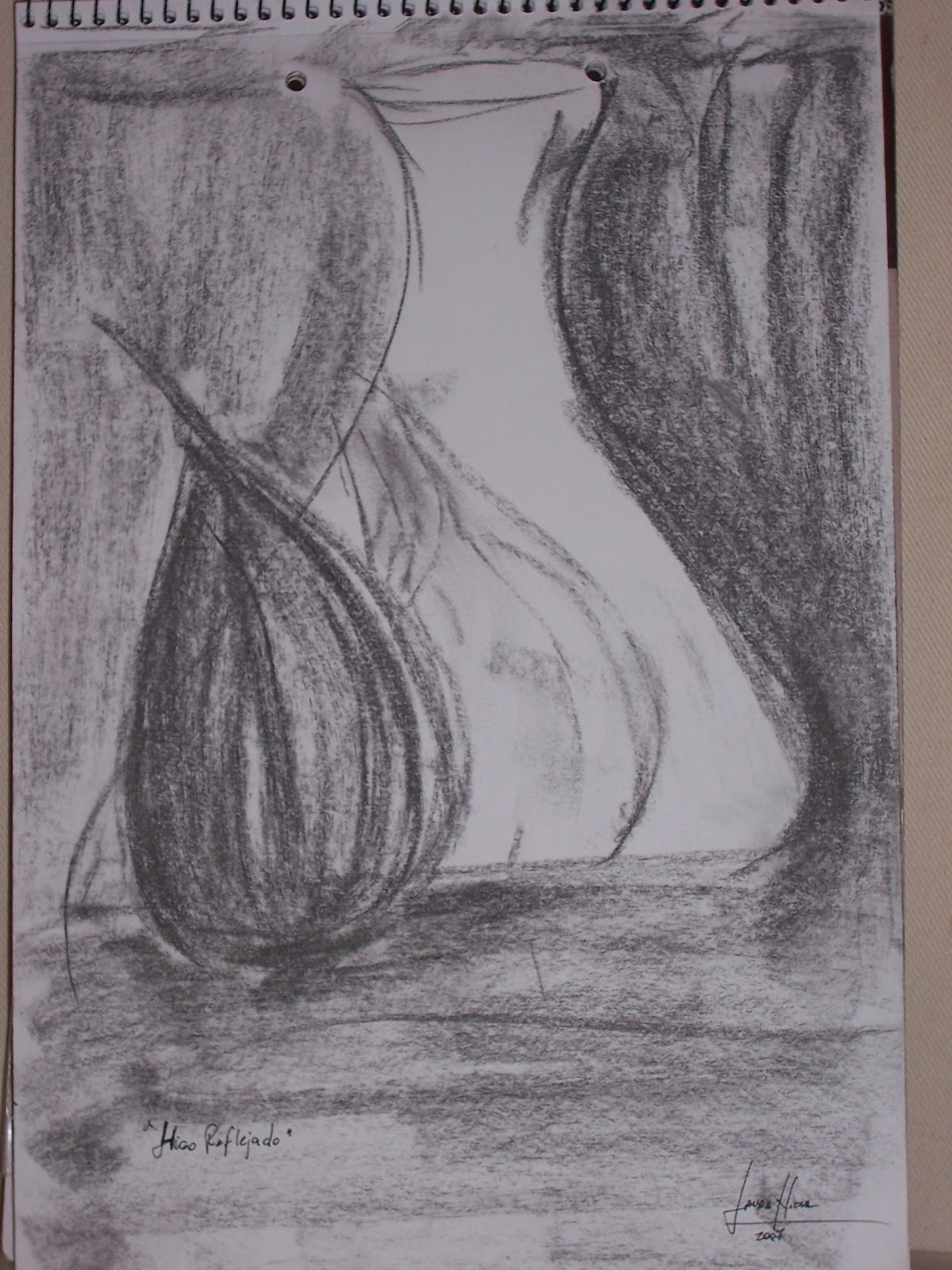Abstracción-LauraNieva: Dibujos hechos con carboncillo