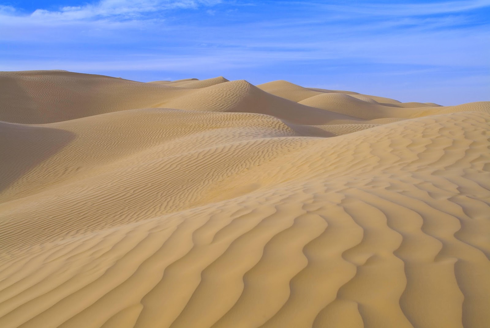 LUISETE: UN NUEVO DESAFIO