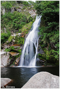 Día Mundial del Agua