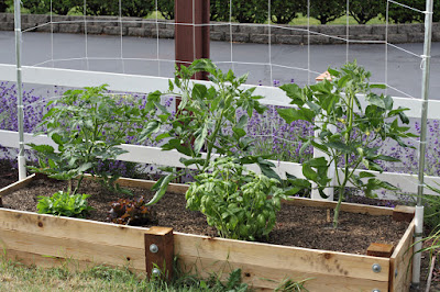 "We do it the Hard Way": Conduit Trellis Frames