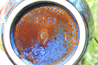 Soholm Blue Series Pottery and Helleborus