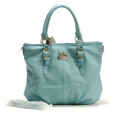 g8 pictures: Coach mint bag. IN LOVE