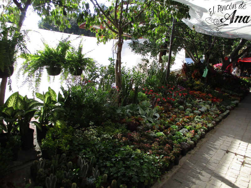 feria de la candelaria 2017