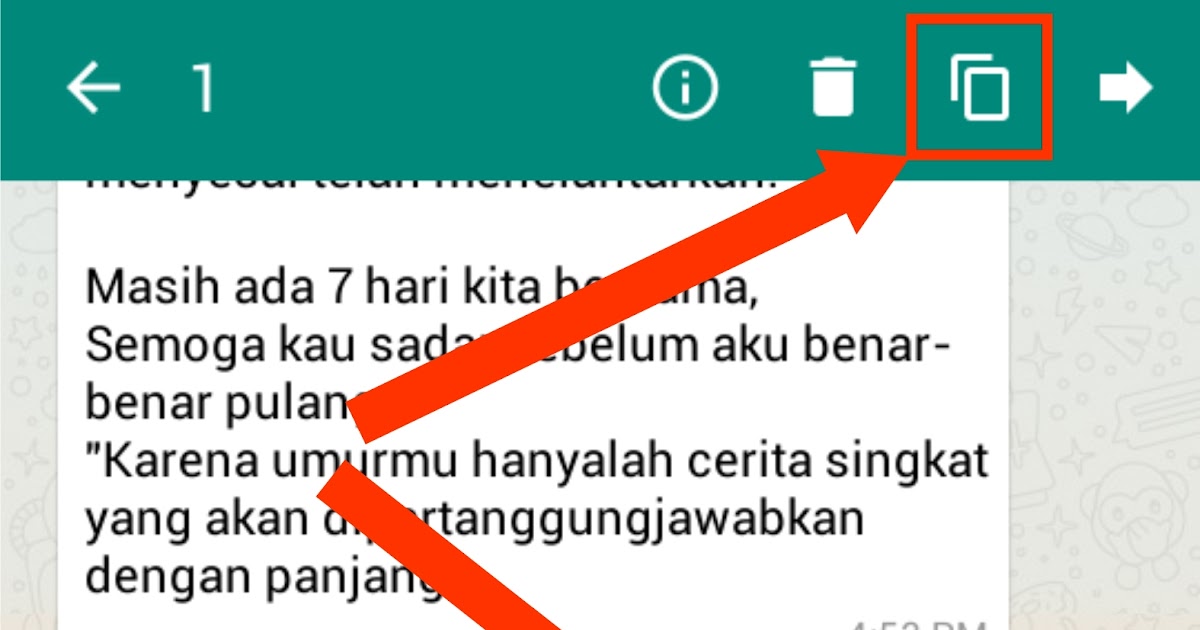 Cara Melakukan Copy-Paste pada Aplikasi WhatsApp di Android /iOS ... Cara Melakukan Copy-Paste pada Aplikasi WhatsApp di Android /iOS ...