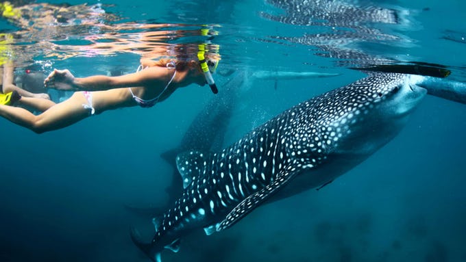 Baja Wellness Retreat with Canyon Ranch